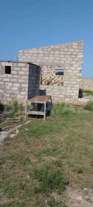 Torpaq Nardaran q., Bakı