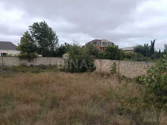 Torpaq Xəzər r., Bakı