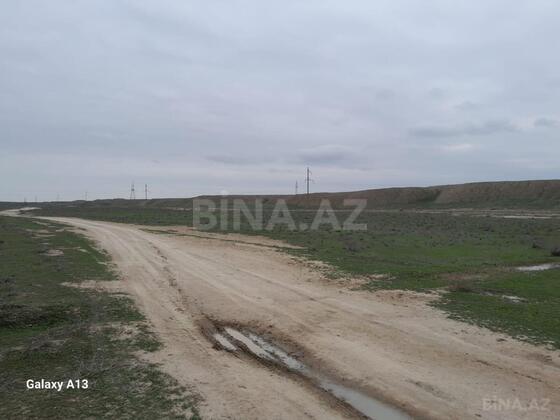 Torpaq Şirvan