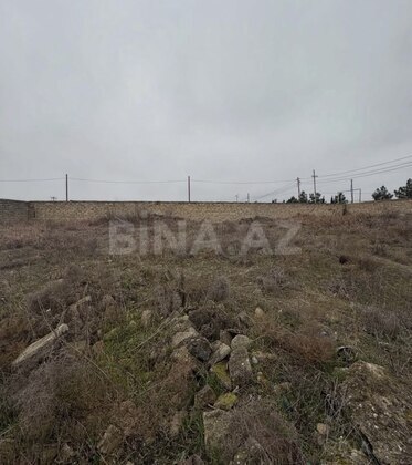 Torpaq Şüvəlan q., Bakı