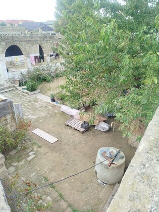 Torpaq Şağan q., Bakı