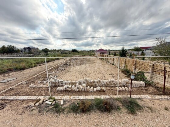 Torpaq Nardaran q., Bakı