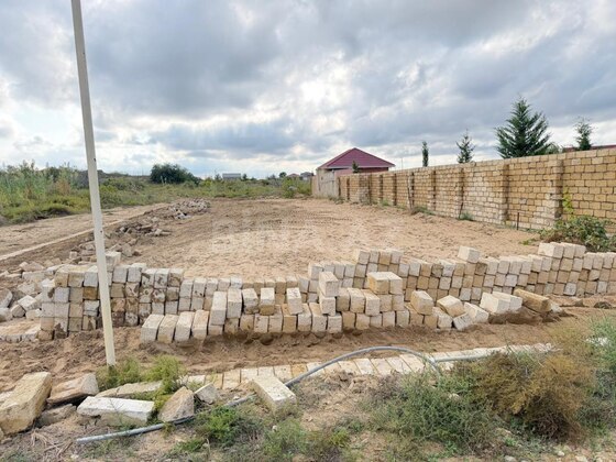Torpaq Nardaran q., Bakı