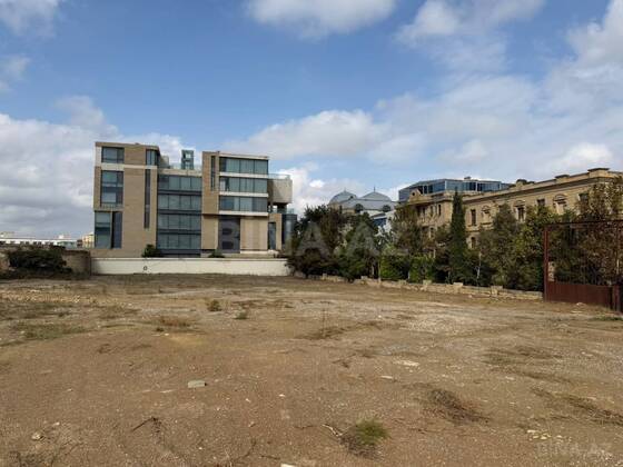 Torpaq Badamdar q., Bakı