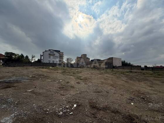 Torpaq Badamdar q., Bakı