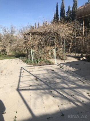 Torpaq Nardaran q., Bakı