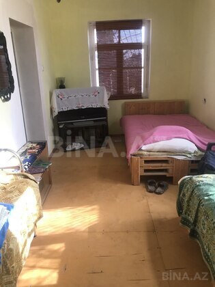 Torpaq Nardaran q., Bakı