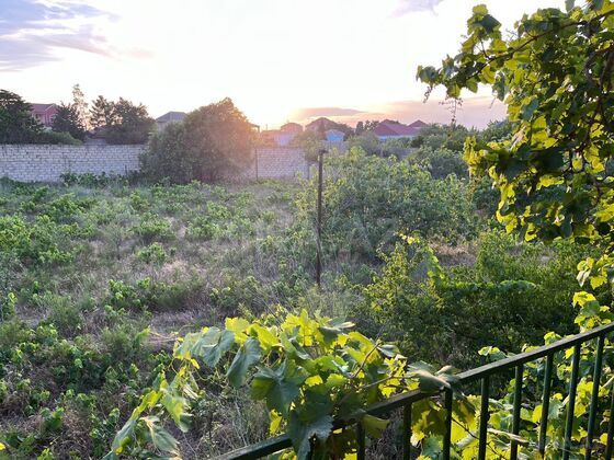 Torpaq Nardaran q., Bakı