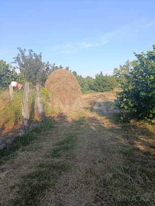 Torpaq Qəbələ