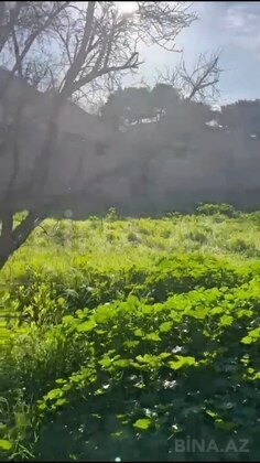 Torpaq Qara Qarayev m., Bakı