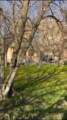 Torpaq Qara Qarayev m., Bakı