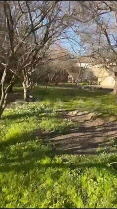 Torpaq Qara Qarayev m., Bakı