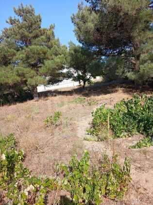2 otaqlı Həyət evi/Bağ evi, Mərdəkan q., Bakı