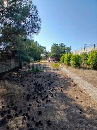2 otaqlı Həyət evi/Bağ evi, Mərdəkan q., Bakı