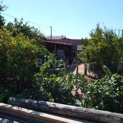 Torpaq Qala q., Bakı