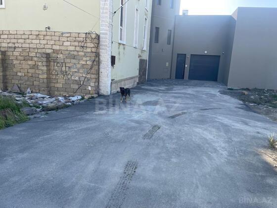 Torpaq Badamdar q., Bakı