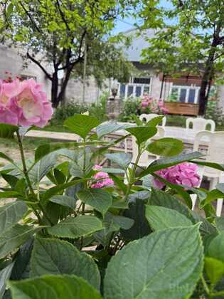 2 otaqlı Həyət evi/Bağ evi, Quba
