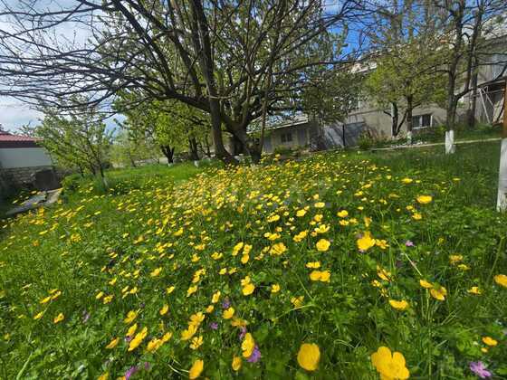 2 otaqlı Həyət evi/Bağ evi, Quba