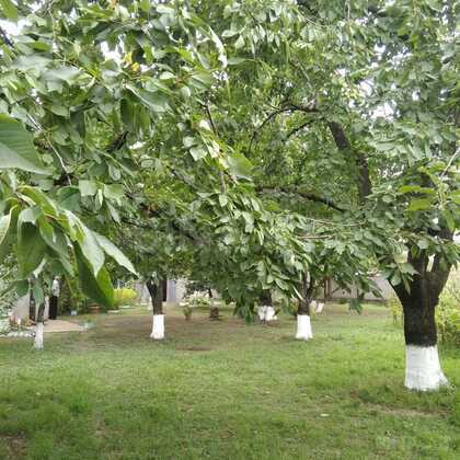 2 otaqlı Həyət evi/Bağ evi, Quba