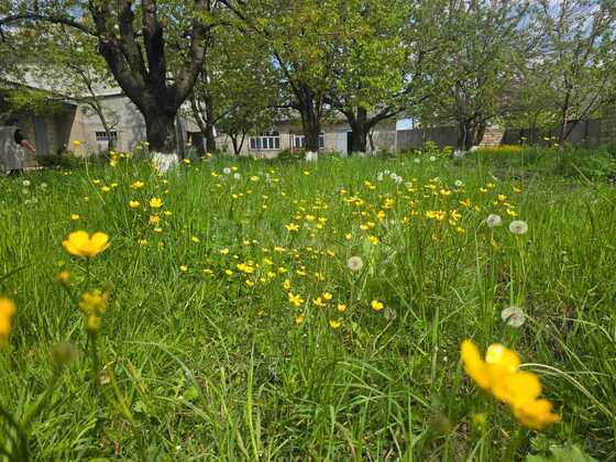2 otaqlı Həyət evi/Bağ evi, Quba