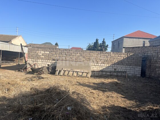 Torpaq Binə q., Bakı