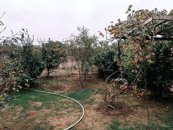 7 otaqlı Həyət evi/Bağ evi, Buzovna q., Bakı