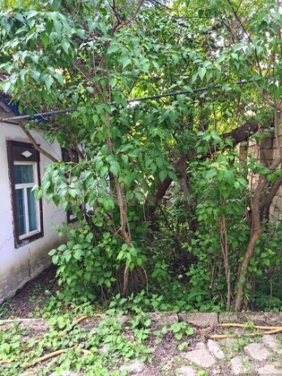 4 otaqlı Həyət evi/Bağ evi, Xızı