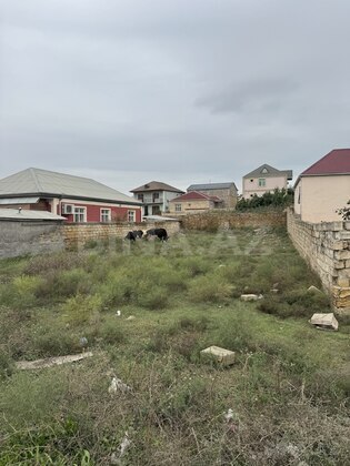 Torpaq Fatmayı q., Bakı