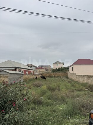 Torpaq Fatmayı q., Bakı