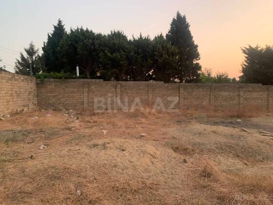 Torpaq Abşeron r., Bakı