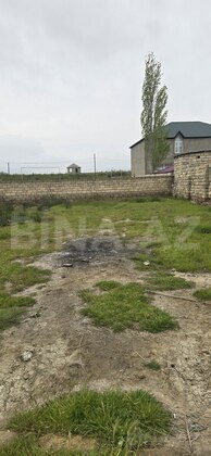 Torpaq Məmmədli q., Bakı