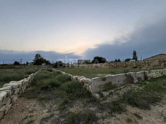 Torpaq Nardaran q., Bakı
