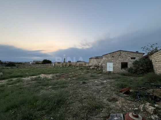 Torpaq Nardaran q., Bakı