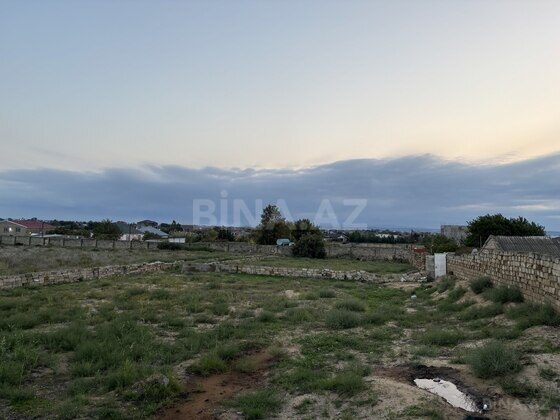 Torpaq Nardaran q., Bakı