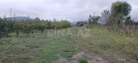 Torpaq Quba