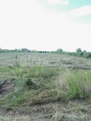 Torpaq Quba