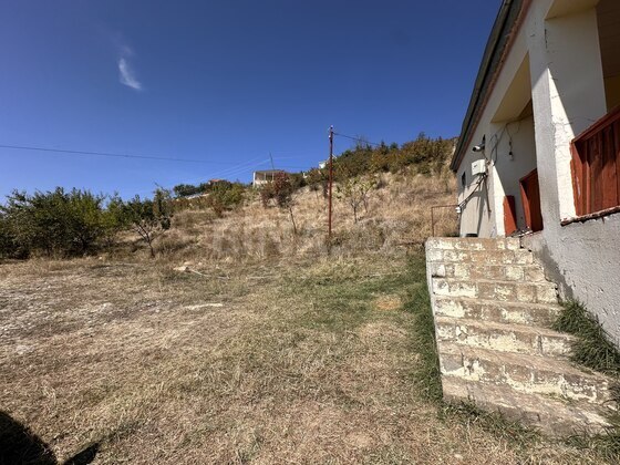 Torpaq Şamaxı