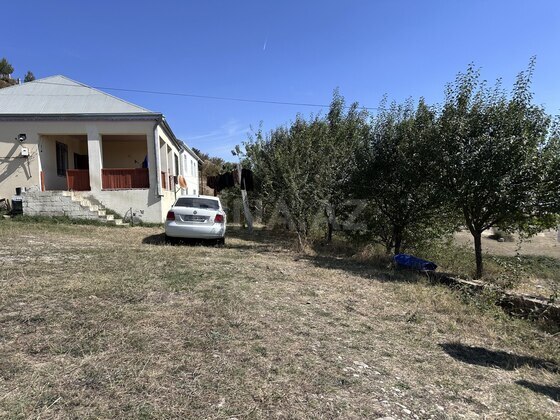 Torpaq Şamaxı