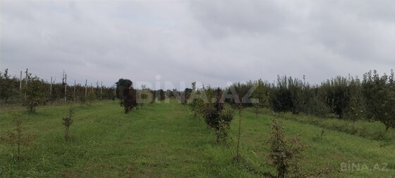 Torpaq Quba