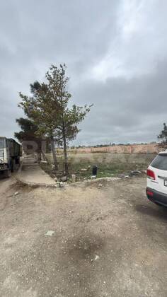 Torpaq Bülbülə q., Bakı
