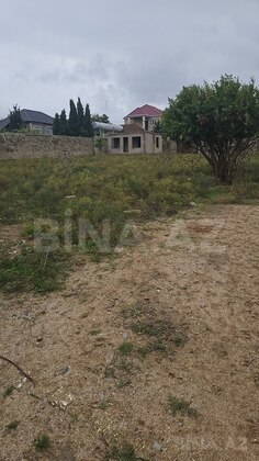 Torpaq Dübəndi q., Bakı