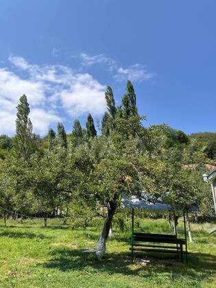 3 otaqlı Həyət evi/Bağ evi, Qusar