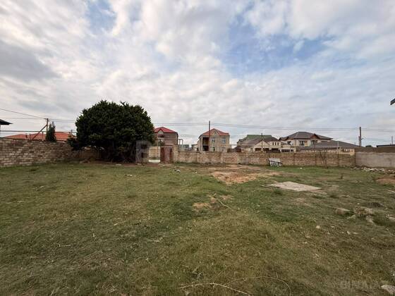 Torpaq Qala q., Bakı