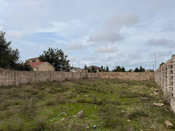 Torpaq Şüvəlan q., Bakı