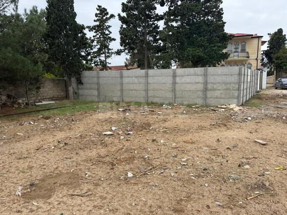 Torpaq Şüvəlan q., Bakı
