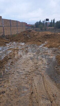 Torpaq Badamdar q., Bakı