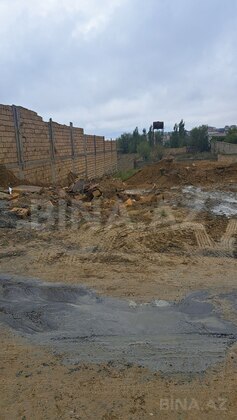 Torpaq Badamdar q., Bakı