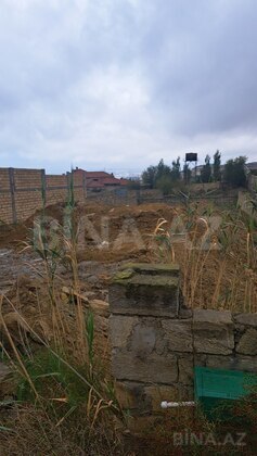 Torpaq Badamdar q., Bakı