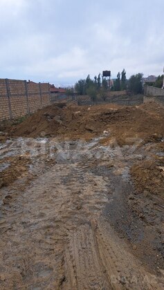 Torpaq Badamdar q., Bakı