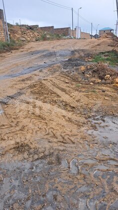 Torpaq Badamdar q., Bakı